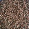 Agarwood-Aloeswood-Oud-Oudh-Gaharu Seeds
